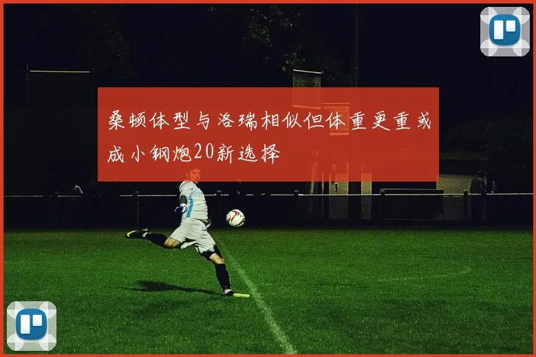 桑顿体型与洛瑞相似但体重更重或成小钢炮20新选择