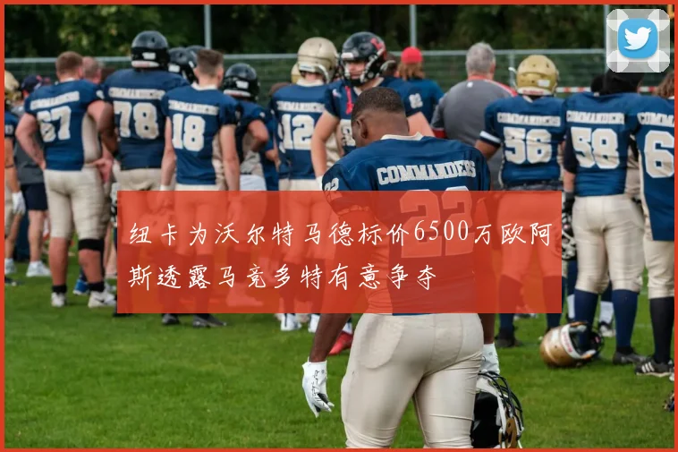 纽卡为沃尔特马德标价6500万欧阿斯透露马竞多特有意争夺