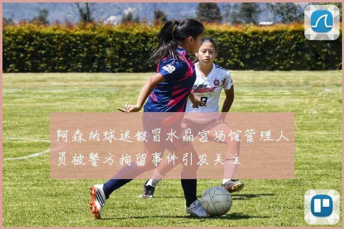 阿森纳球迷假冒水晶宫场馆管理人员被警方拘留事件引发关注