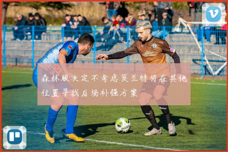 森林狼决定不考虑莫兰特将在其他位置寻找后场补强方案