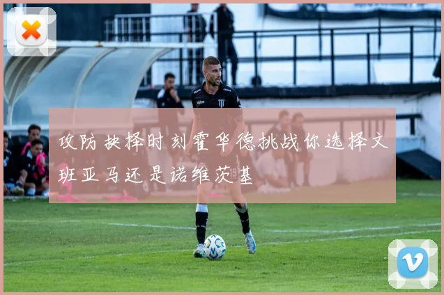 攻防抉择时刻霍华德挑战你选择文班亚马还是诺维茨基