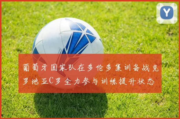 葡萄牙国家队在多伦多集训备战克罗地亚C罗全力参与训练提升状态